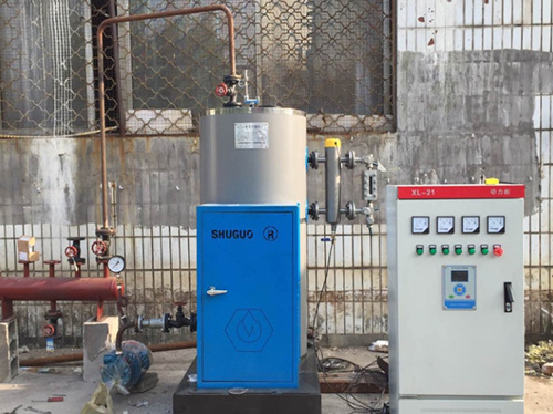 LDR系列電蒸汽鍋爐